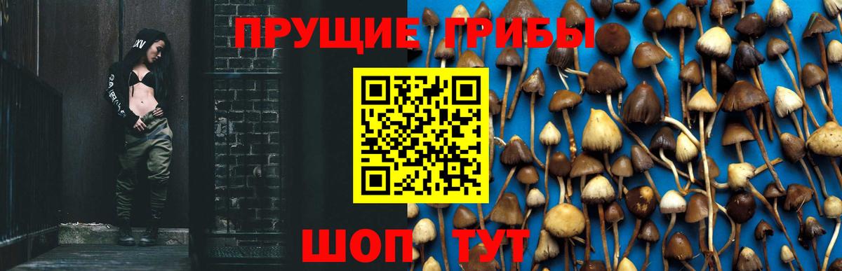 Галлюциногенные грибы Cubensis  Вход с VPN  Бирск  Галлюциногенные грибы MAGIC MUSHROOMS 